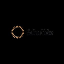 Scholtès Error Codes Logo
