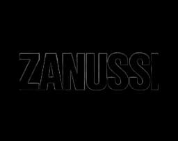 Zanussi Error Codes Logo
